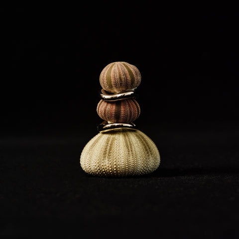 Irregular Earrings